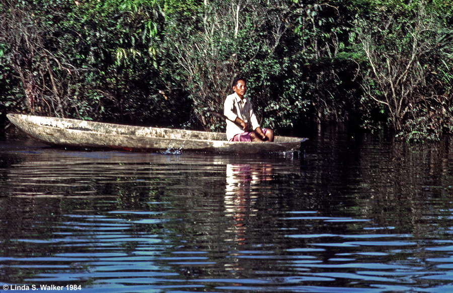 Dugout canoe, Amazon River, Peru