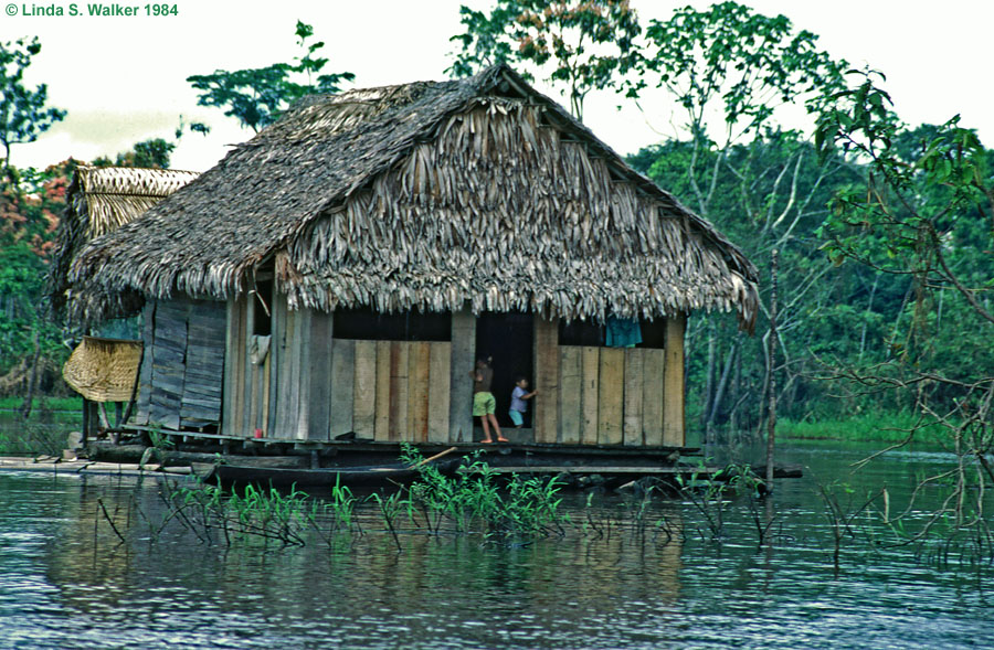 A floating house, Amazon River, Peru
