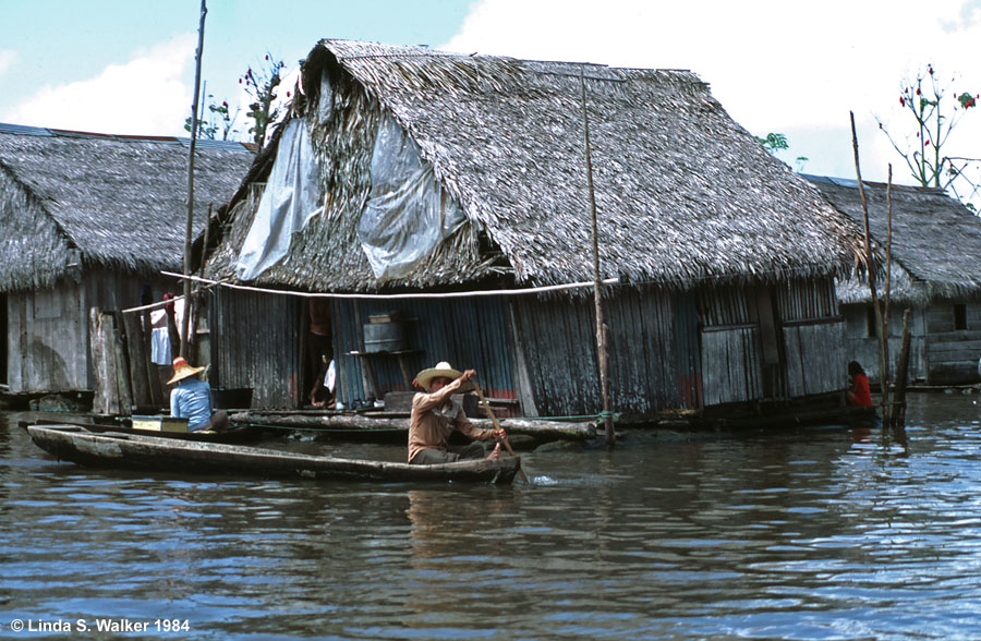 Floating house and dugout canoe, Amazon River, Belen, Peru