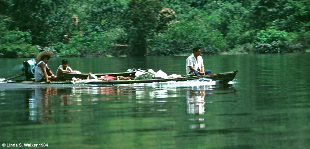 Boat traffic, Amazon River, Peru