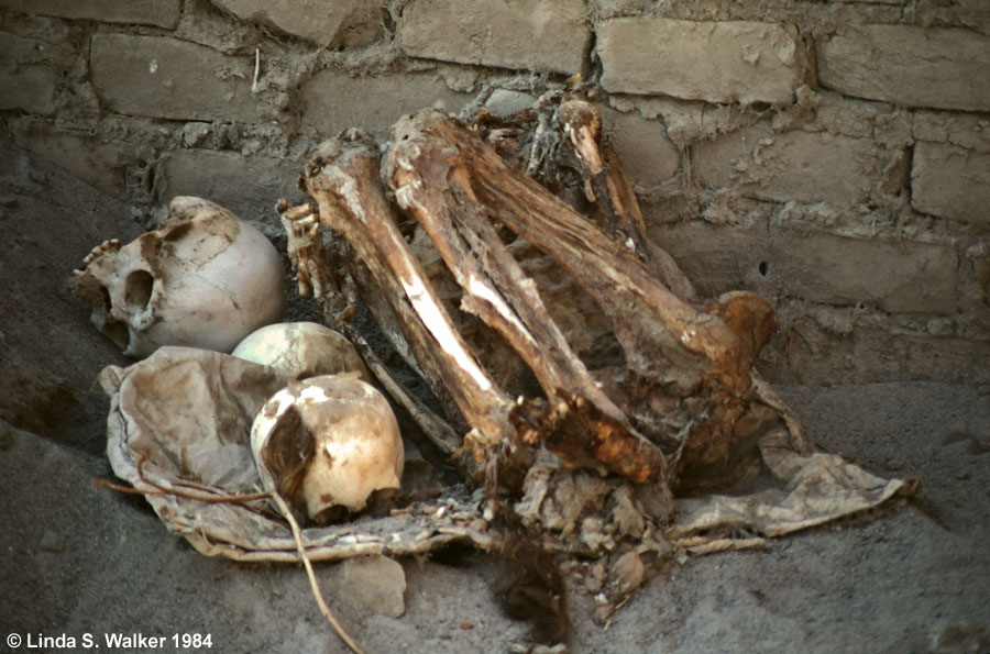 Grave robber's spoils, Nazca, Peru