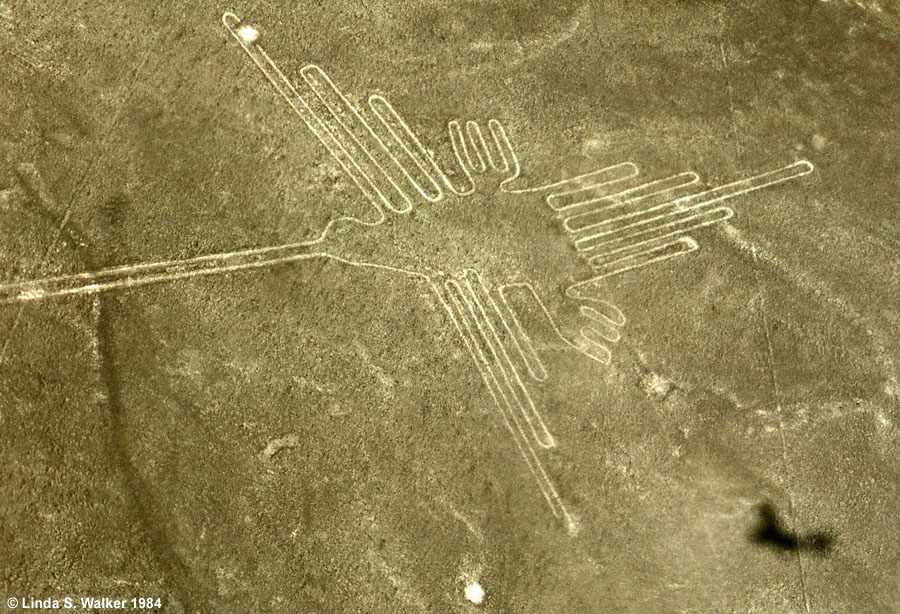 Ancient hummingbird geoglyph, Nazca Plain, Peru