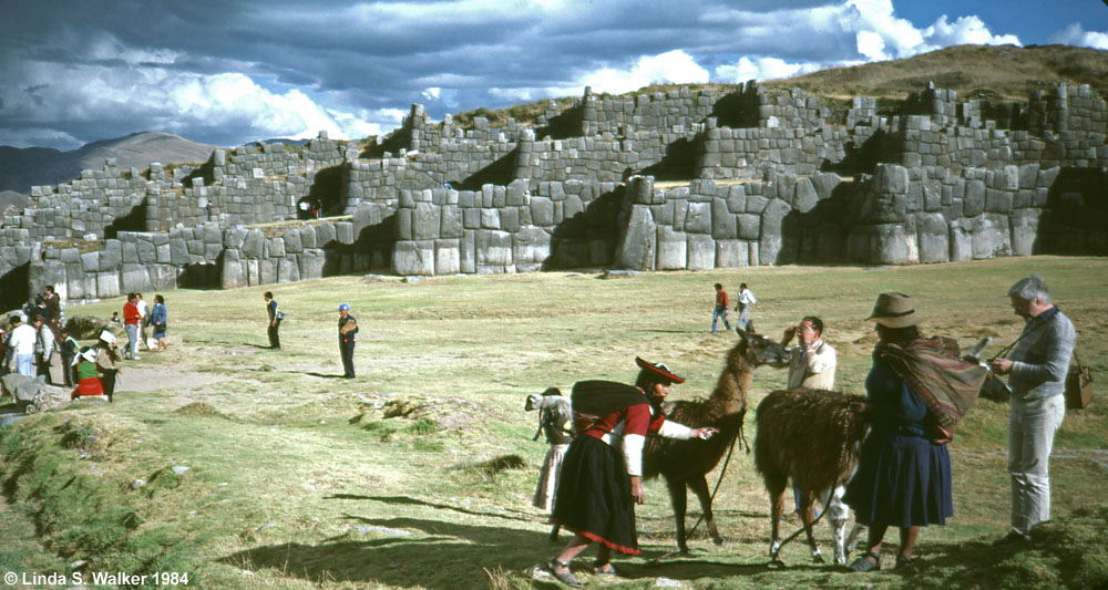 Sacsayhuaman fortress and llamas, Peru