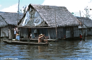 Amazon Floating House