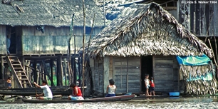 Amazon houses, Belen, Peru
