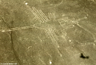 Hummingbird geoglyph, Peru