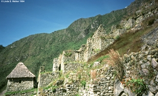 Terraced ruins