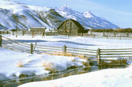 Linda Walker's photo gallery