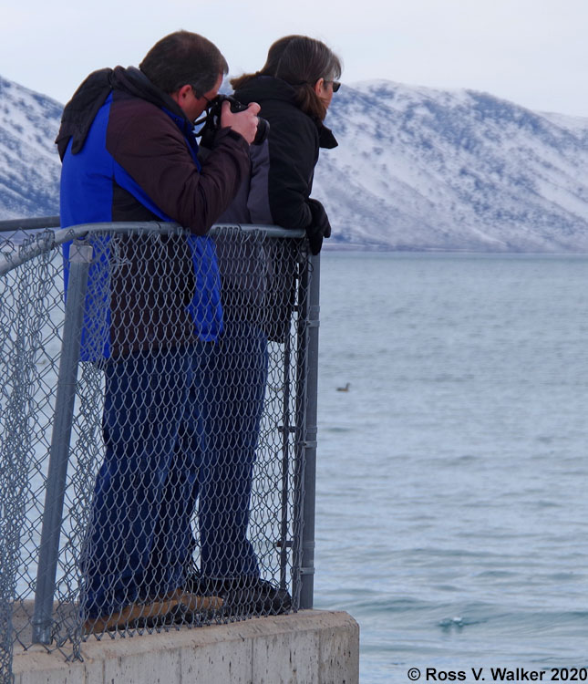 Sharp Shooters Camera Club Winter Field Trip