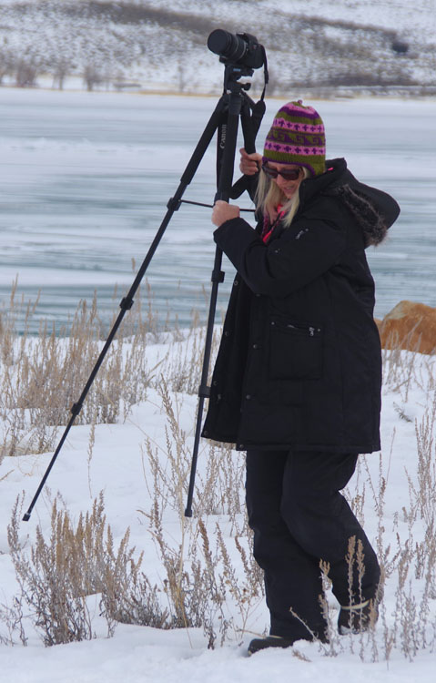 Sharp Shooters Camera Club Winter Field Trip