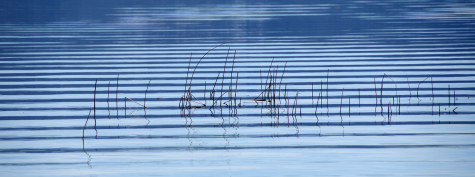 Stripes assignment photo