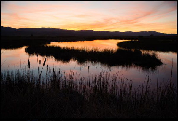 Sharp Shooters Camera Club, Montpelier, Idaho assignment - wildlife refuge