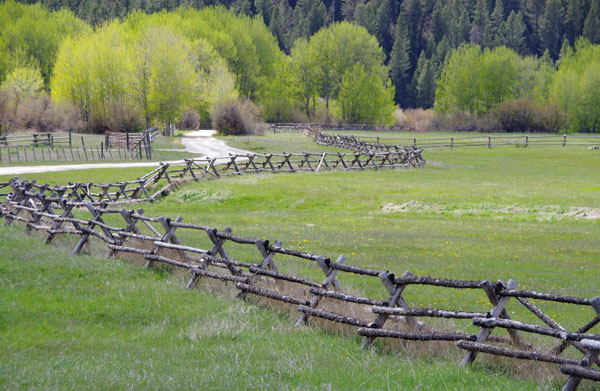 Fence assignment photo