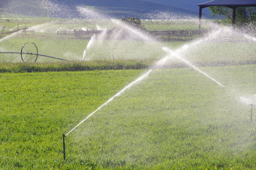 Field irrigation, Montpelier, Idaho