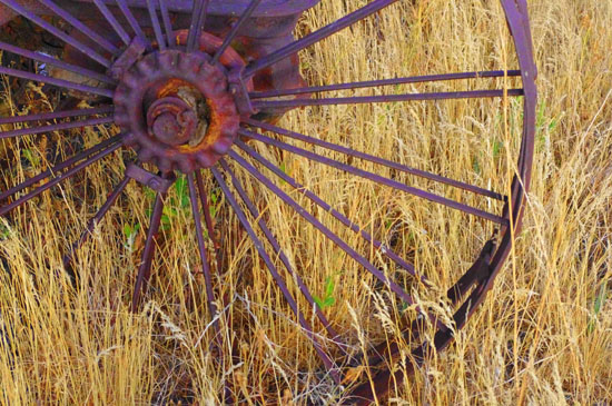 Sharp Shooters Camera Club, Montpelier, Idaho assignment- rustic relics