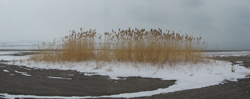 Bear Lake --- East Shore --- Stormy Day