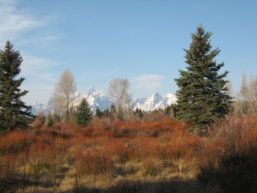 The Cathedral Group --- Teton National Park