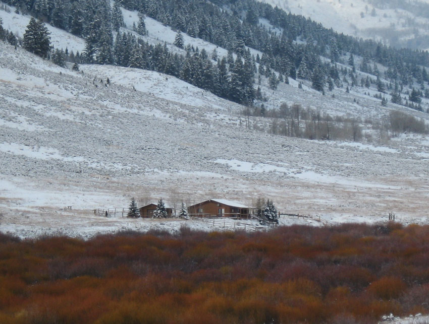 Jack Jensen Cabin