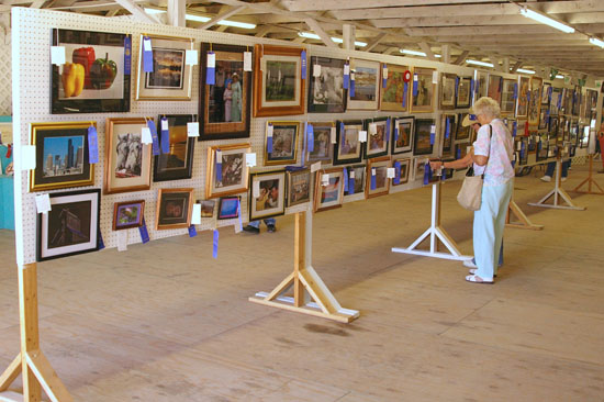 Sharp Shooters Camera Club, Bear Lake County Fair, photography