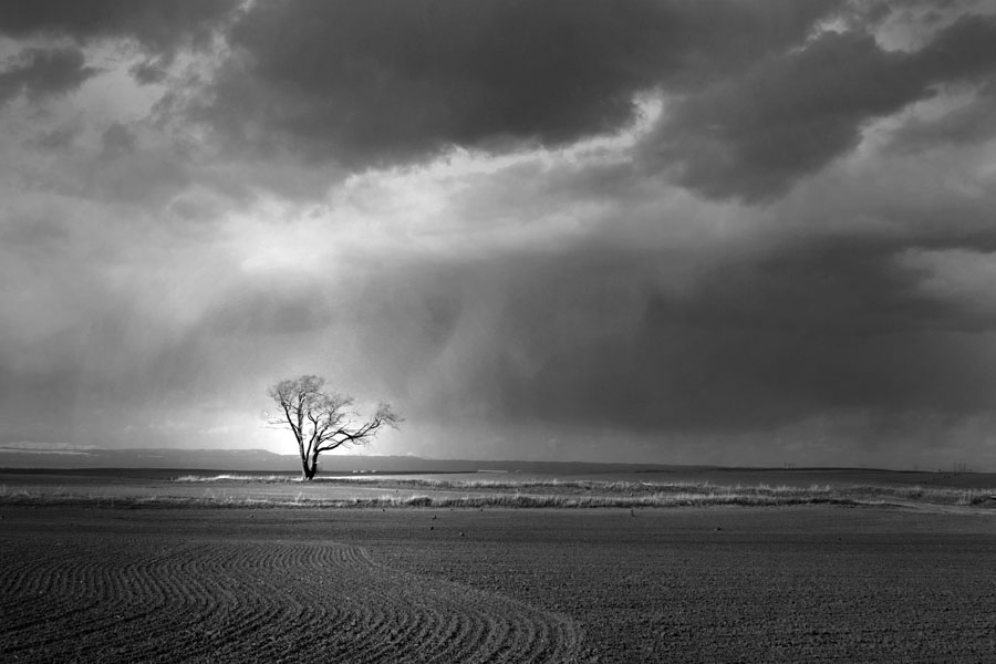 Idaho Plains