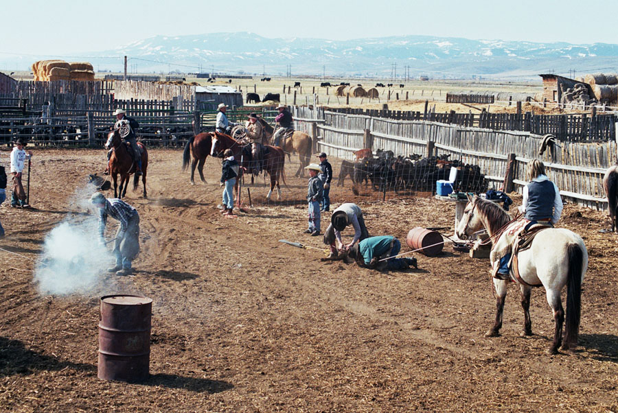 Spring Work, Blotter Ranch, Montpelier, Idaho