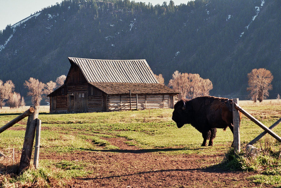Teton Barn, Jackson, Wyoming