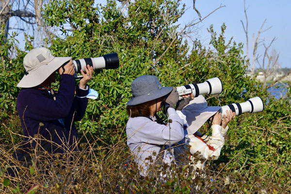 Sharp Shooters Camera Club assignment photo - camera