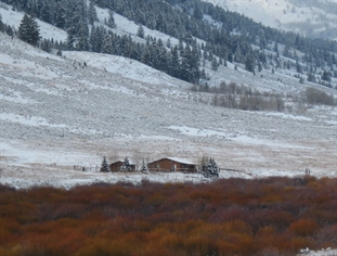 Jensen cabin