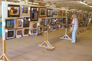 County Fair photos