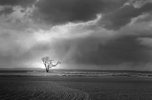 Idaho Plains