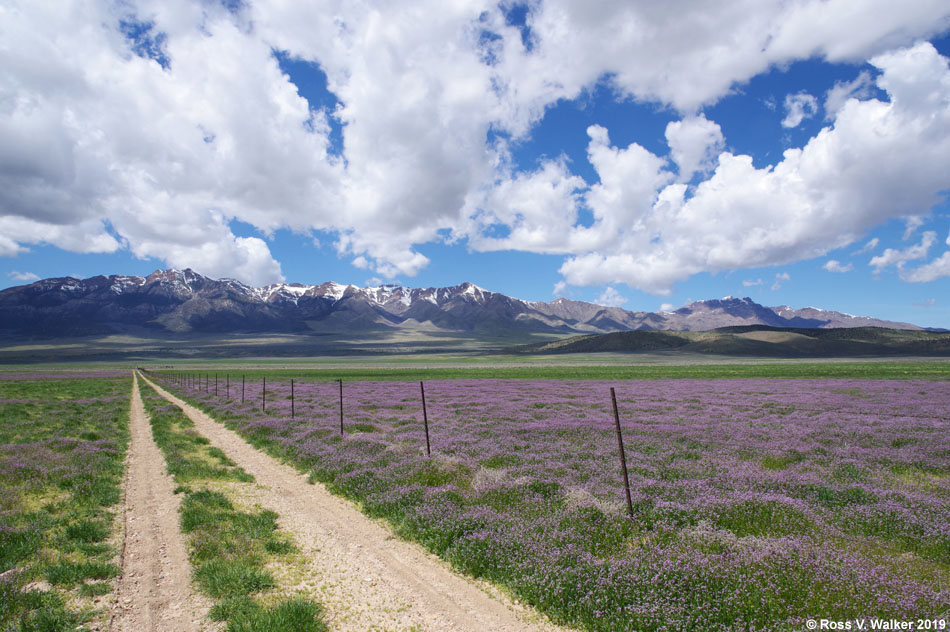 Mountains in Fishlake National Forest seen from fields at Scipio, Utah