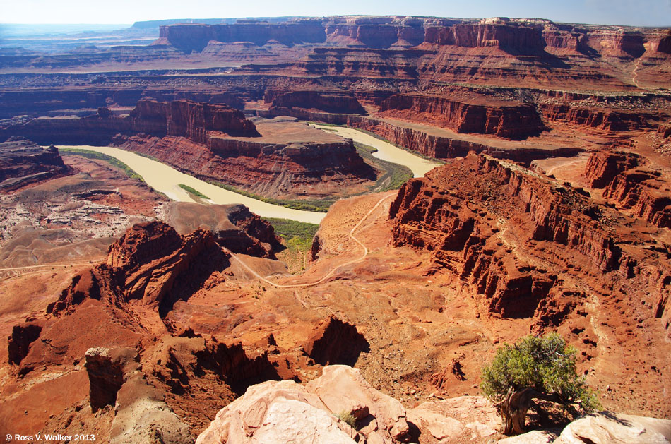 The Colorado River from Dead Horse Point, Utah
