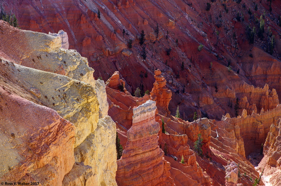 Cedar Breaks National Monument, Utah