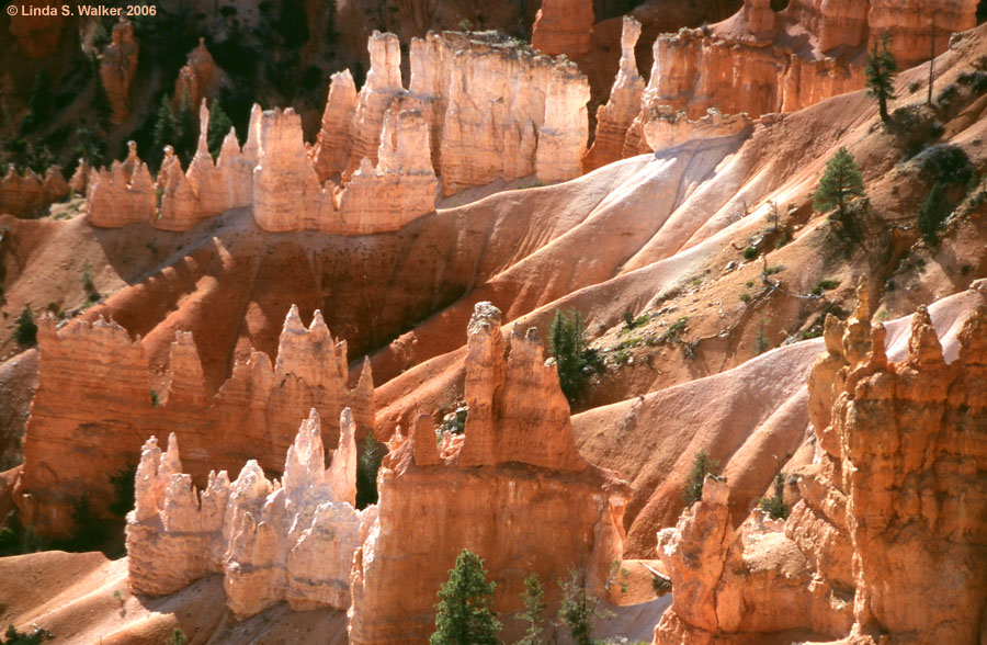 Hoodoos, Bryce Canyon National Park, Utah