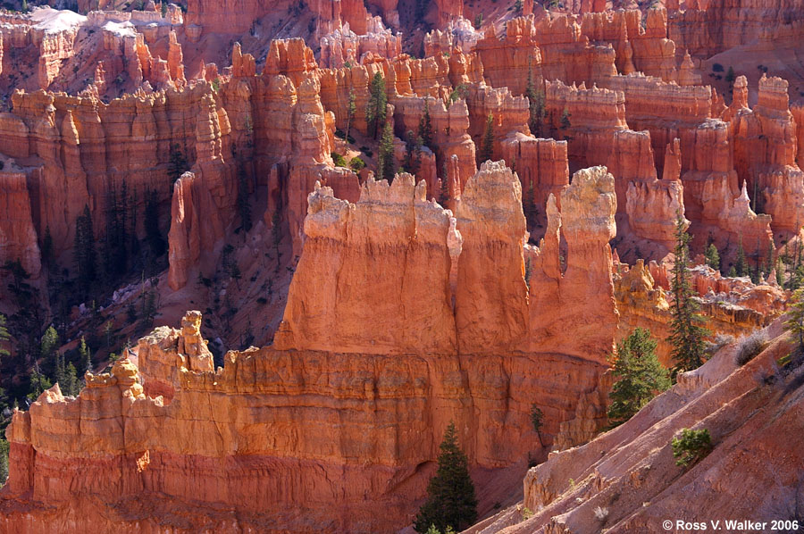 Rim light on hoodoos at Bryce Canyon National Park, Utah