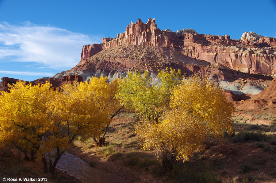 The Castle and Sulphur Creek cottonwoods at Capitol Reef National Park, Utah