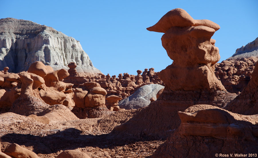 Sandstone goblins at Goblin Valley State Park, Utah