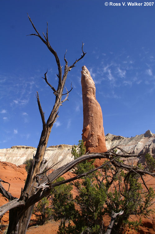 The Ballerina Slipper on the Panorama Trail, Kodachrome Basin State Park, Utah