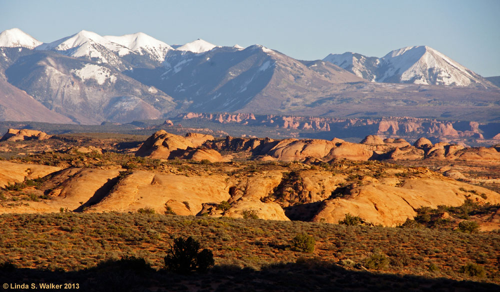Petrified dunes and the La Sal Mountains, Arches National Park, Utah