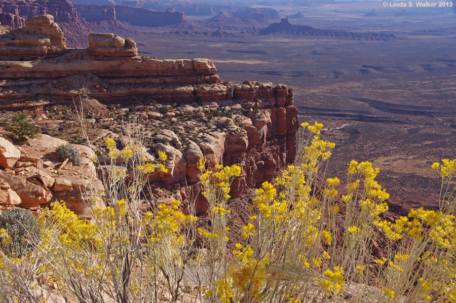 Valley of the Gods from Moki Dugway, Utah