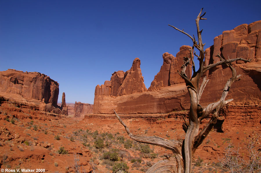 Park Avenue, Arches National Park, Utah