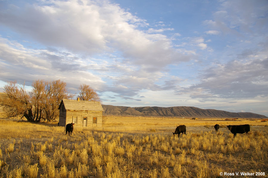 Abandoned house in Randolph, Utah