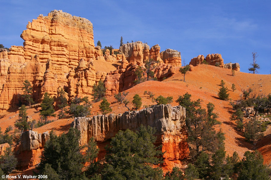 Red Canyon, in Dixie National Forest, Utah