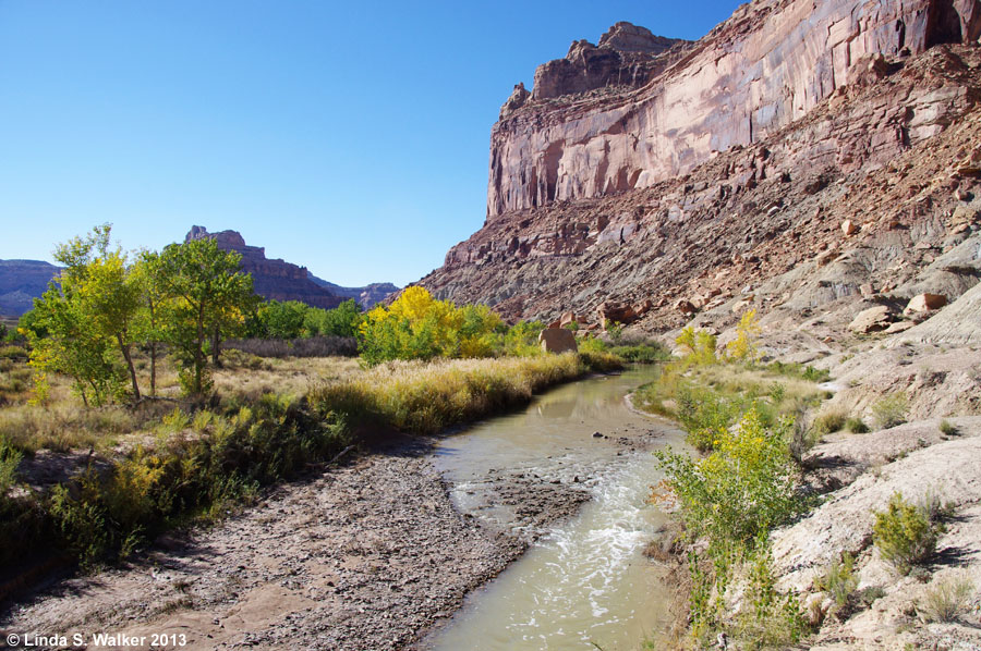 San Rafael River,  the border between Cottonwood Wash and Buckhorn Draw, Utah