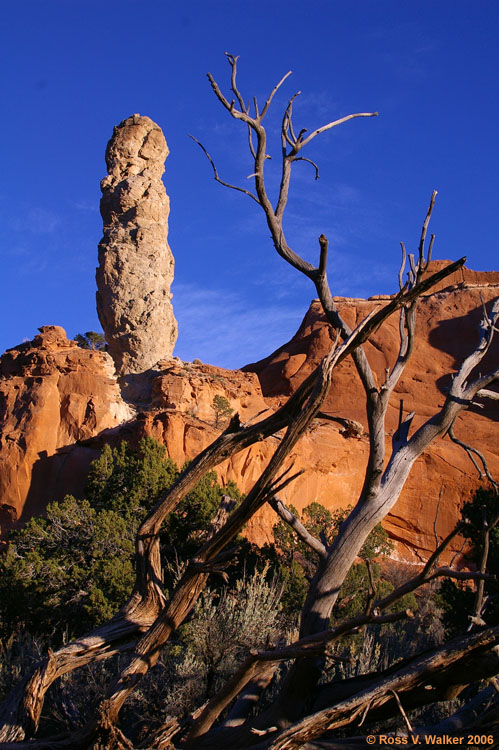 Sand Pipe, Kodachrome Basin State Park, Utah