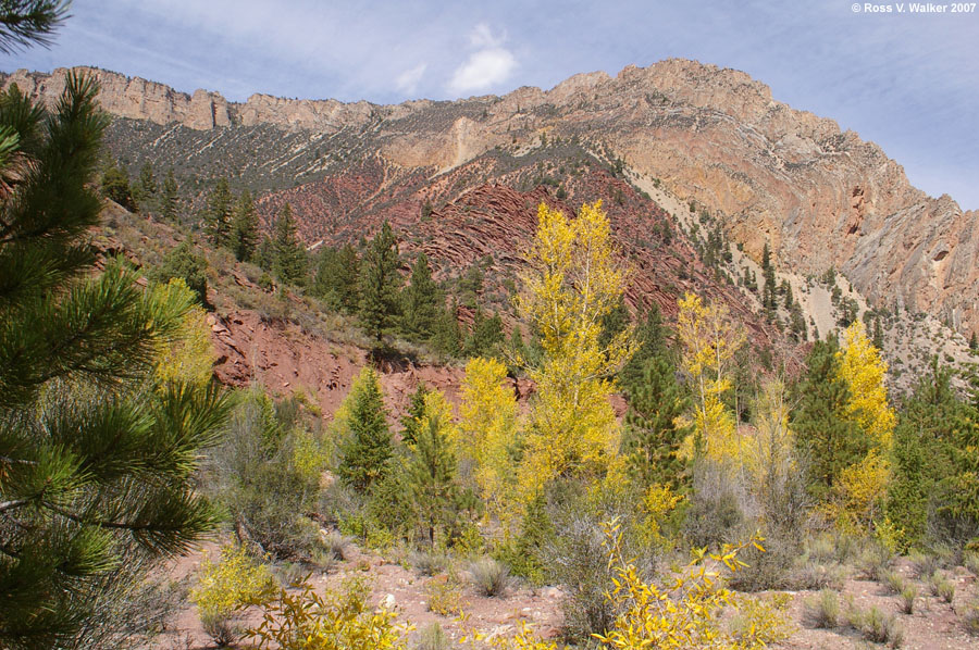 Autumn in Sheep Creek Canyon, Uintah Mountains, Utah