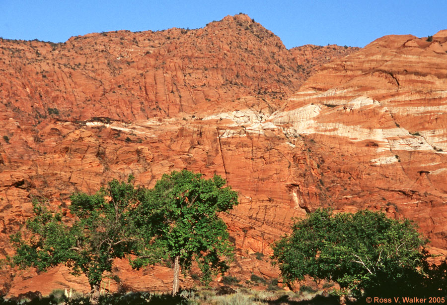 Sunrise at Snow Canyon State Park, Utah