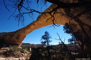 Owachomo Natural Bridge