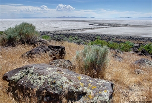 Spiral Jetty