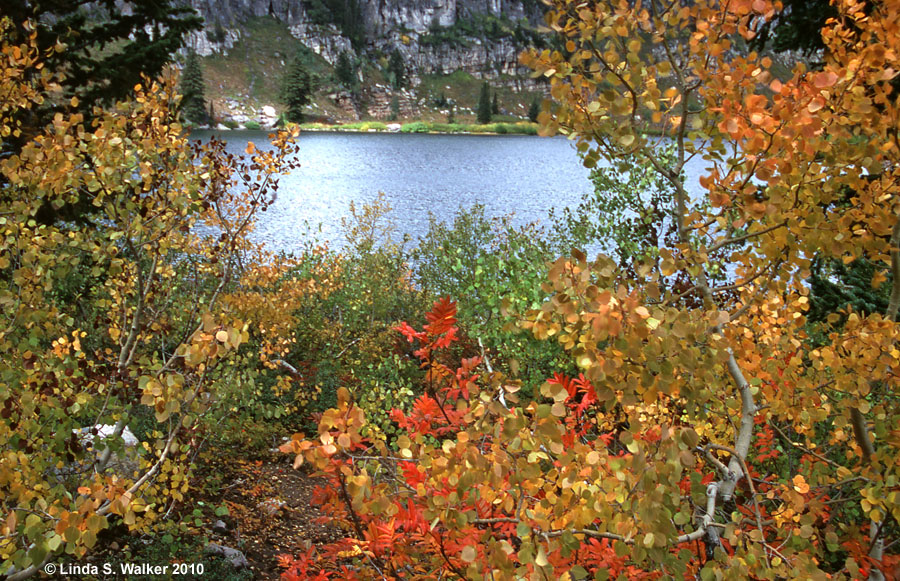 Tony Grove Lake framed by fall color, Logan Canyon, Utah